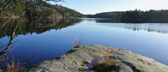 Träna med Friska Nacka!