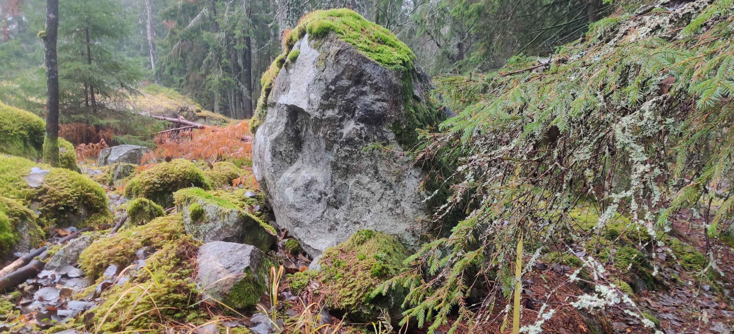 Terrängbild Järladubbeln