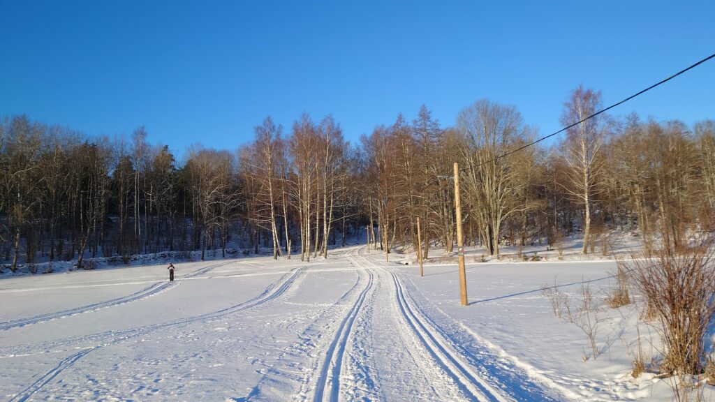 Järlaspåret o Ängsspåret